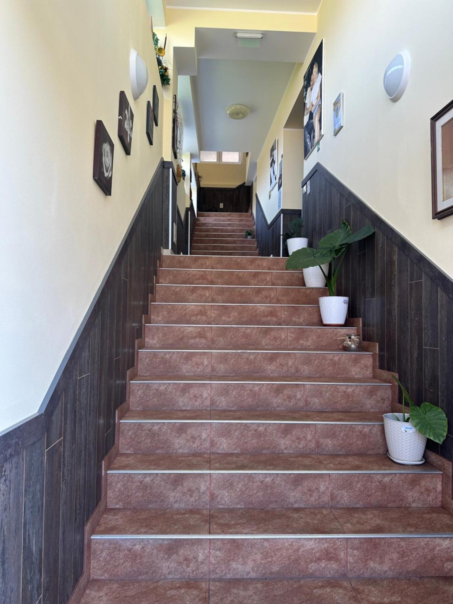 Casa Clau Hotell Orşova Exteriör bild